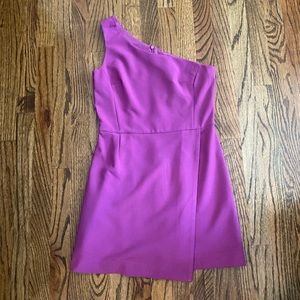 NWT French Connection Dress